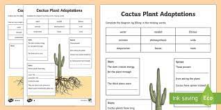 Third graders define and observe transpiration in a cactus and woodland plant. Cactus Plant Differentiated Worksheet Activity Sheets