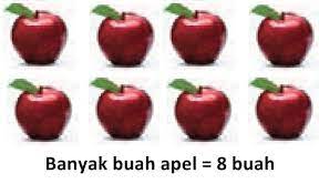 Udara ini membuat apel menjadi lebih ringan daripada air dan mengapung. Gambar 8 Buah Apel A Photo On Flickriver