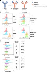 Life expectancy depends on the tumor's size, grade, and the dog's condition at diagnosis. A Pilot Clinical Study Of The Therapeutic Antibody Against Canine Pd 1 For Advanced Spontaneous Cancers In Dogs Scientific Reports