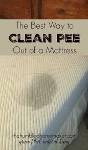 How to clean a mattress cover. The Best Way To Clean Pee Out Of A Mattress Mattress Cleaning Baking Soda Drain Cleaner Cleaning