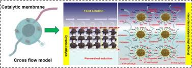 Alex o'loughlin, patrick thompson, gabby millgate and others. Polyvinylidene Fluoride Membrane Functionalized With Zero Valent Iron For Highly Efficient Degradation Of Organic Contaminants Sciencedirect