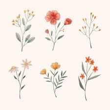We did not find results for: Watercolor Flowers Images Free Vectors Stock Photos Psd