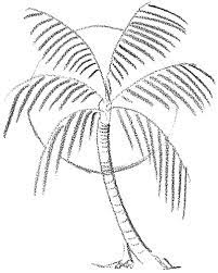 Finally draw the leaves (or in this case leaf) at the very back. How To Draw Palm Trees In Front Of The Sun Drawing Lesson How To Draw Step By Step Drawing Tutorials Palm Tree Drawing Trees Drawing Tutorial Sun Drawing