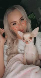 My name is: Stitch 💙 My breed is: Chihuahua 🐶 My age is: 10 weeks 🍼 My  nickname is: Stichey, stinks, puppy 🐶 My favorite food is: puppy treats 🍪  My favorite