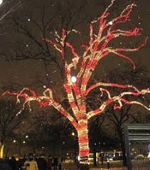 Do not operate with the flexible light tightly coiled. 60 Candy Cane Rope Lights Ideas Christmas Lights Candy Cane Christmas