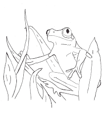 The coloring page of the mom frog with her baby frog. Free Printable Frog Coloring Pages For Kids