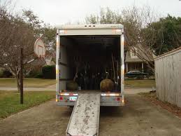 Mature fruit can be left on the tree to turn brown and dry. Dallas Fruit And Vegetable Grower Where Can You Get Fruit Trees And Bushes In Dallas Texas