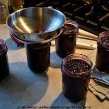 Cover mulberries with the sugar and lemon zest. Mulberry Jam Recipe Step By Step With Photos Use Fresh Or Frozen Berries