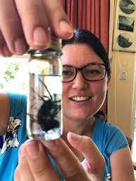 Dairy industry, finding your crowd and spider genitals