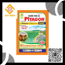 Pitagor 550WP