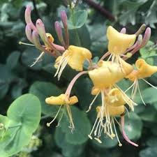 صور من فلسطين mohammad omar hamdan instagram photos and videos instagram photo photo and video omar