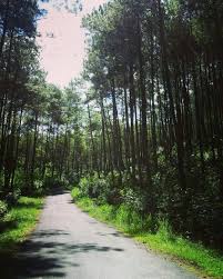  Pin Pa Kabartrenggalek