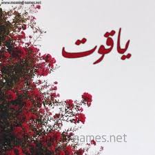 يَاقُوت • (yāqūt) m (plural يَوَاقِيت‎ (yawāqīt)). ÙŠØ§Ù‚ÙˆØª Ø´ÙƒÙ„ 18 ØµÙˆØ±Ù‡ Ø§Ù„ÙˆØ±Ø¯ Ø§Ù„Ø£Ø­Ù…Ø± Ù„Ù„Ø¥Ø³Ù… Ø¨Ø®Ø· Ø±Ù‚Ø¹Ø© ÙƒØªØ§Ø¨Ø© Ø¹Ù„Ù‰ Ø§Ù„ÙˆØ±Ø¯ 2021