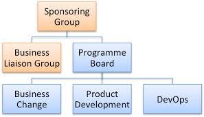 Programme Organisation For Software Delivery Its A