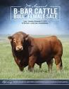 B Bar Cattle Co Bull & Female Sale 2023 by Bohrson Marketing ...
