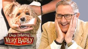 Every Walk Is a Disaster Waiting to Happen!