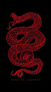 Wallpaper Red Black Snake Love In Caution In 2020 Snake Wallpaper Trippy Wallpaper Red Aesthetic Grunge