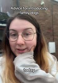 Dos and donts from your own experiences are very welcome pls !! #dogfriends  #rescuedogs #reactivedogs