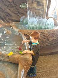 Exploring 50 fun activities for $5 or less in indianapolis. Best Things To Do With Kids In Indianapolis During Summer