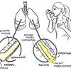 Pictures of asthma coloring pages and many more. 1