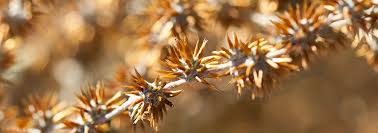 Jika kita masuk kerja terlambat namun masih bekerja terhitung kerja 4 jam (kurang dari 8 jam), apakah hak upah makan tidak diberikan? Rates Bookings Kunje Farm Accommodation Koue Bokkeveld Ceres District