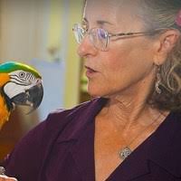 PDF) The Untold Story of Alberto Ruz Lhuillier and his Archaeological  Excavations at Palenque, México: A Micro- and Macrohistorical Approach