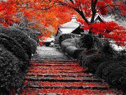 Autumn Wallpaper 1600x1200 What Is Landscape Landscape Plans Indoor Garden