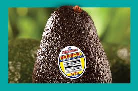 Image result for Dark Avocado 1983 Fedders