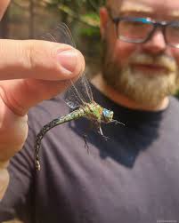 Dragonfly and Damselfly News — Dragonfly Society of the Americas