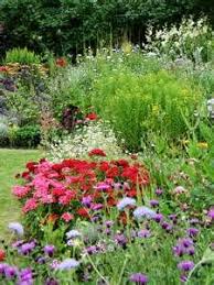 Australian Natives Cottage Garden Great Pin For Oahu Architectural Design Visit Http Ownerbuiltdesign Cottage Garden English Cottage Garden Native Garden