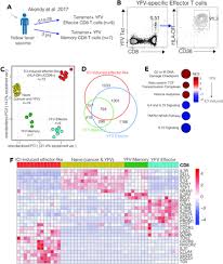 Characterisation of clinical response and transcriptional profiling of  proliferating CD8 T cells in the blood of cancer patients after PD-1  monotherapy or combination therapy