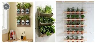 Listado de plantas y composiciones con plantas aromáticas: Aprovecha Las Paredes Libres De Tu Cocina Plantas Aromaticas Plantas Para Terrario Plantas Para Cocina Plantas En Pared