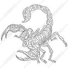 Scorpiones is the order of terrestrial arachnid arthropods that gathers about 2,000 species of scorpions that have length of 10cm to 12cm. Pin On Coloring Pages