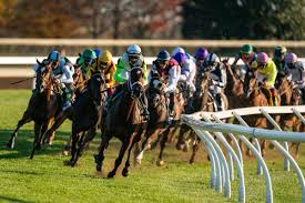 To unlock all of dhp's daily featured picks, simply create a free account and sign in when you access the louisiana downs. Free Horse Racing Picks Xpressbet