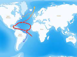 Jun 15, 2021 · sugerør i golfstrømmen langs andfjord salmons lokasjon på kvalnes er det stedvis svært brådjupt. Ozgewls07zkkzm
