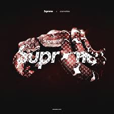 We would like to show you a description here but the site won't allow us. Gucci And Supreme Wallpapers Top Free Gucci And Supreme Backgrounds Wallpaperaccess