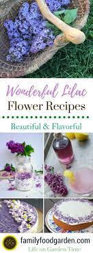 Wonderful Lilac Flower Recipes Family Food Garden Edible Flowers Recipes Flower Food Food Garden