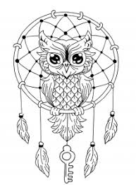 Expect bugs, chaos, and unannounced reboots. Mandala Eule Malbuch Fur Erwachsene