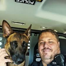 K9 Spotlight