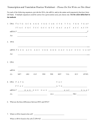 Transcription and translation practice worksheet example: Worksheet Book 009018453 1 Transcription And Translation Practice Jobs Work From Home Uk Of Samsfriedchickenanddonuts