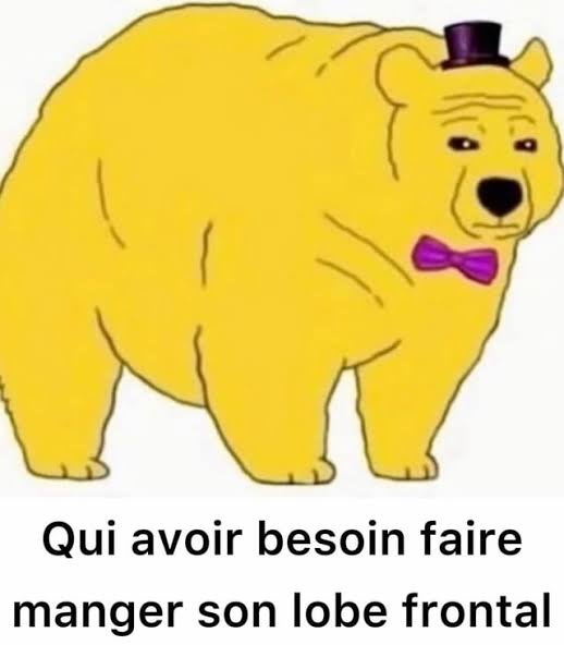Meme Français “Qui avoir besoin faire manger son lobe frontal”