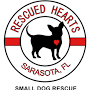 Small dog rescue Sarasota south from www.rescuedheartssarasota.com