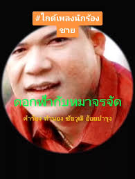 เพลงหมาจรจัด