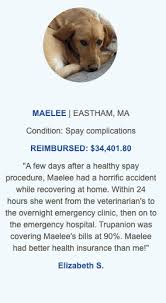 See reviews from verified customers. Trupanion Pet Insurance 2021 Compare Quotes