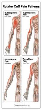 Pin On Massage