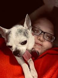 Adorable Chihuahua Pictures and Wishes for a Good Night