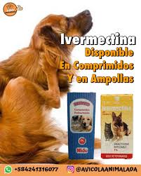La ivermectina previene o mata los parásitos causando daños neurológicos al parásito, lo que resulta en el tratamiento de los perros susceptibles a la toxicidad de la ivermectina con medicación. Ivermectina Ivermectina Para Avicola Animalada Ca Facebook