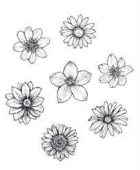 Die beliebteste nanny der welt. Inspiration Zeichnen Blumen Schone Ideen Schne Und25 Undschone Blumen Zeichnen Ideen Und I Blumen Zeichnung Blumenzeichnungen Leichte Blumenzeichnungen