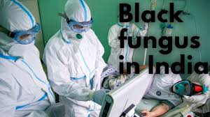 May 28, 2021 · black fungus panic: What Is The Black Fungus Infecting Covid 19 Patients Youtube