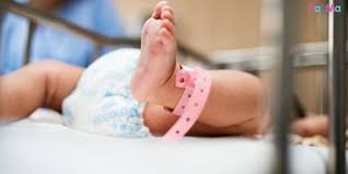 Ketika ditinggal ke toilet, sang mama menemukan anjingnya berusaha mengubur bayinya yang penuh darah. Mak Dah Bagi Anak Kau Makan Tak Nangis Dah Akhirnya Bayi 25 Hari Meninggal Pa Ma